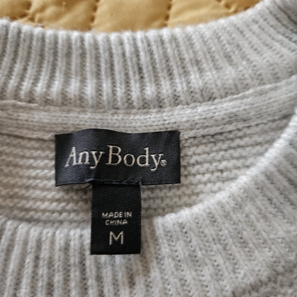 AnyBody Light Gray Crewneck Sweater